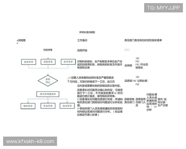 凯发旗舰厅登录线路异常时的应急处理流程与用户自助解决技巧