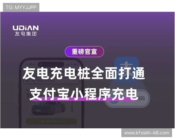 行业专家分析K8凯发注册平台的竞争优势与未来发展潜力